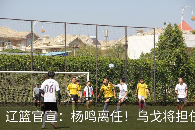 辽篮官宣：杨鸣离任！乌戈将担任辽宁男篮主帅